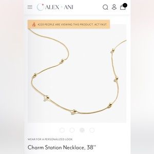 Alex and Ani Charm Station Necklace